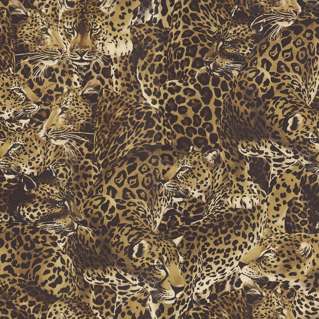 Dolce and discount gabbana leopard wallpaper